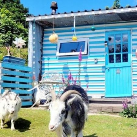 Treguth Glamping Unique Experience - Themed Huts Hotell Saint Day Eksteriør bilde