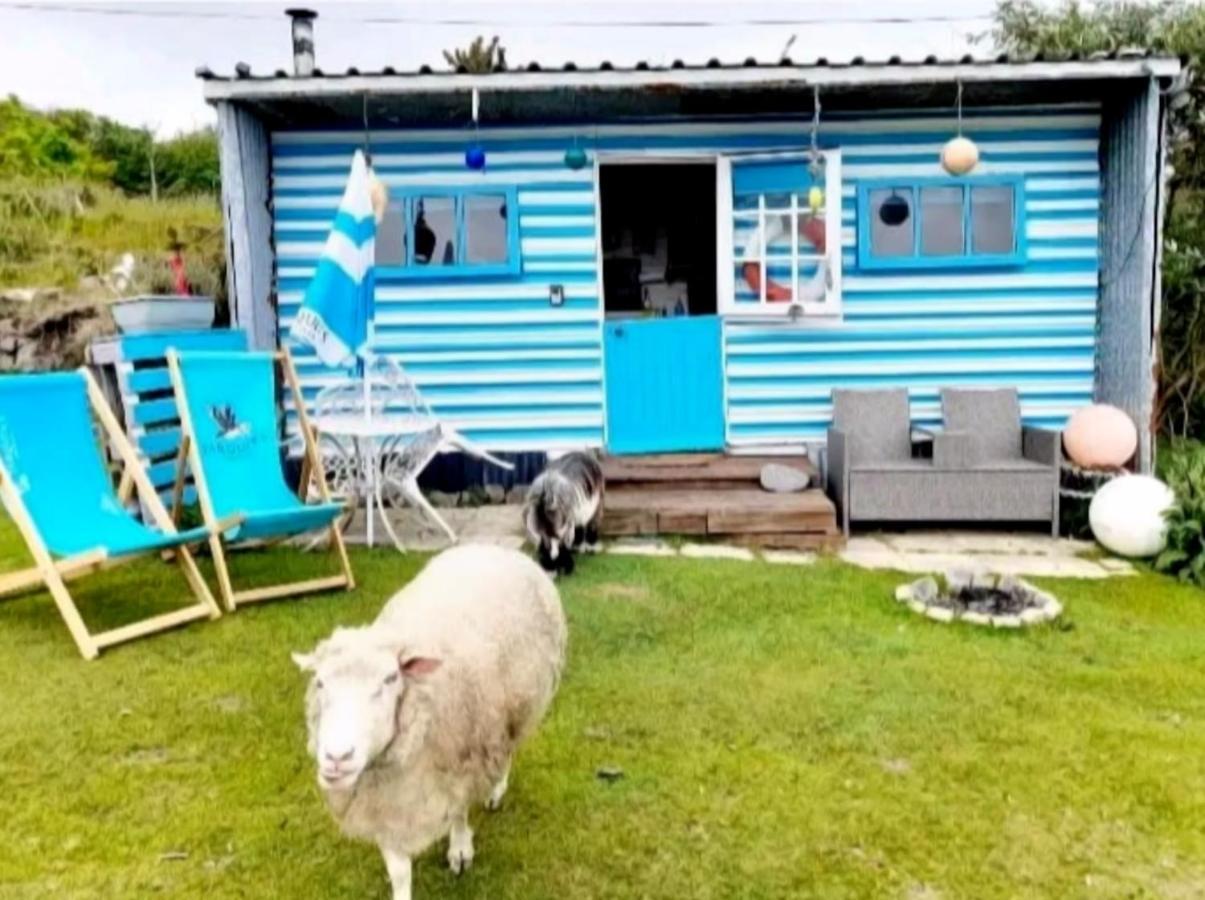 Treguth Glamping Unique Experience - Themed Huts Hotell Saint Day Eksteriør bilde