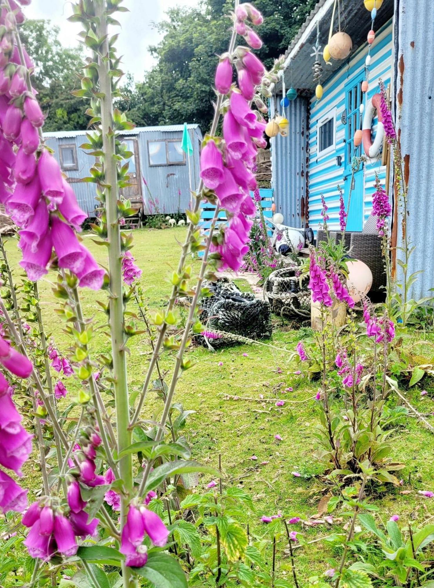 Treguth Glamping Unique Experience - Themed Huts Hotell Saint Day Eksteriør bilde