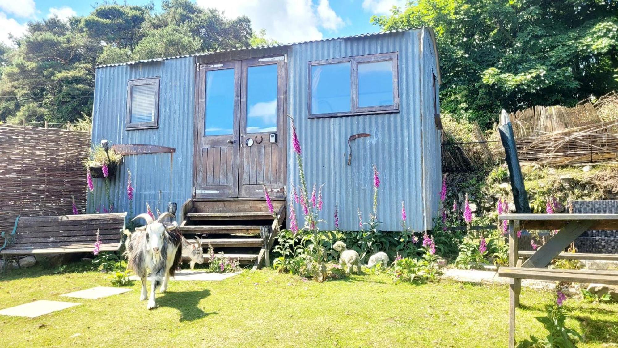 Treguth Glamping Unique Experience - Themed Huts Hotell Saint Day Eksteriør bilde