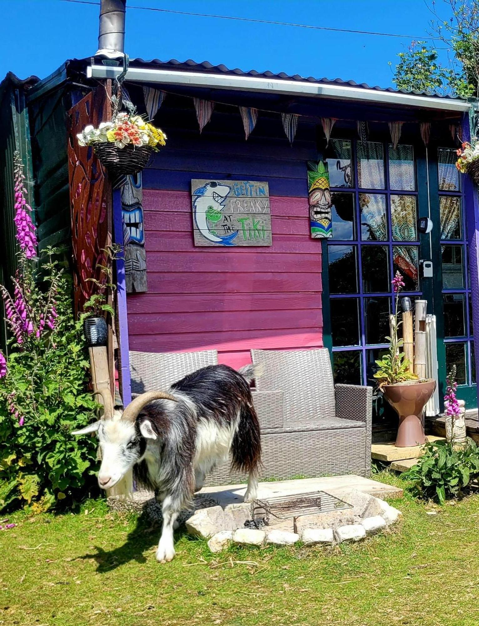 Treguth Glamping Unique Experience - Themed Huts Hotell Saint Day Eksteriør bilde