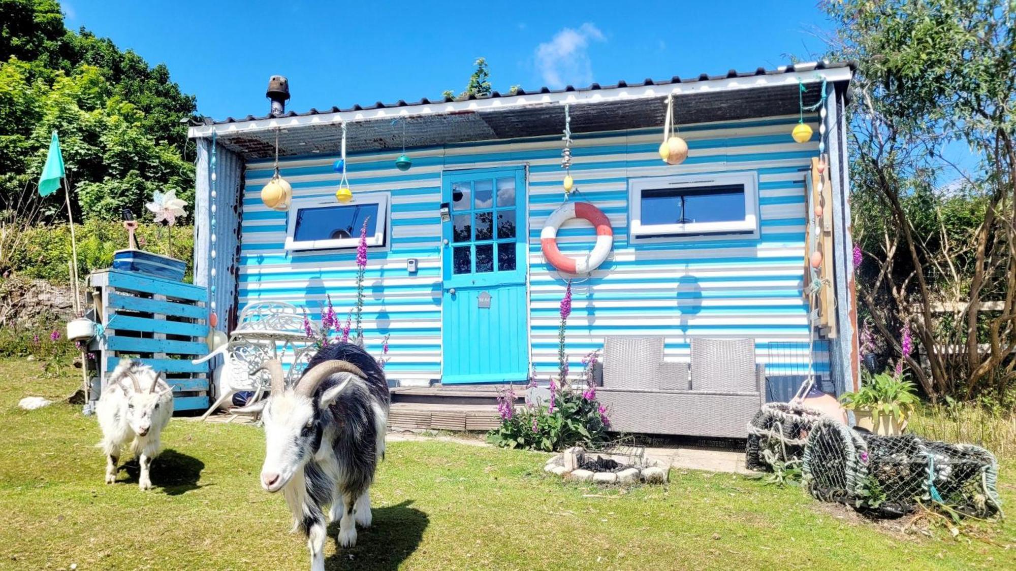 Treguth Glamping Unique Experience - Themed Huts Hotell Saint Day Eksteriør bilde