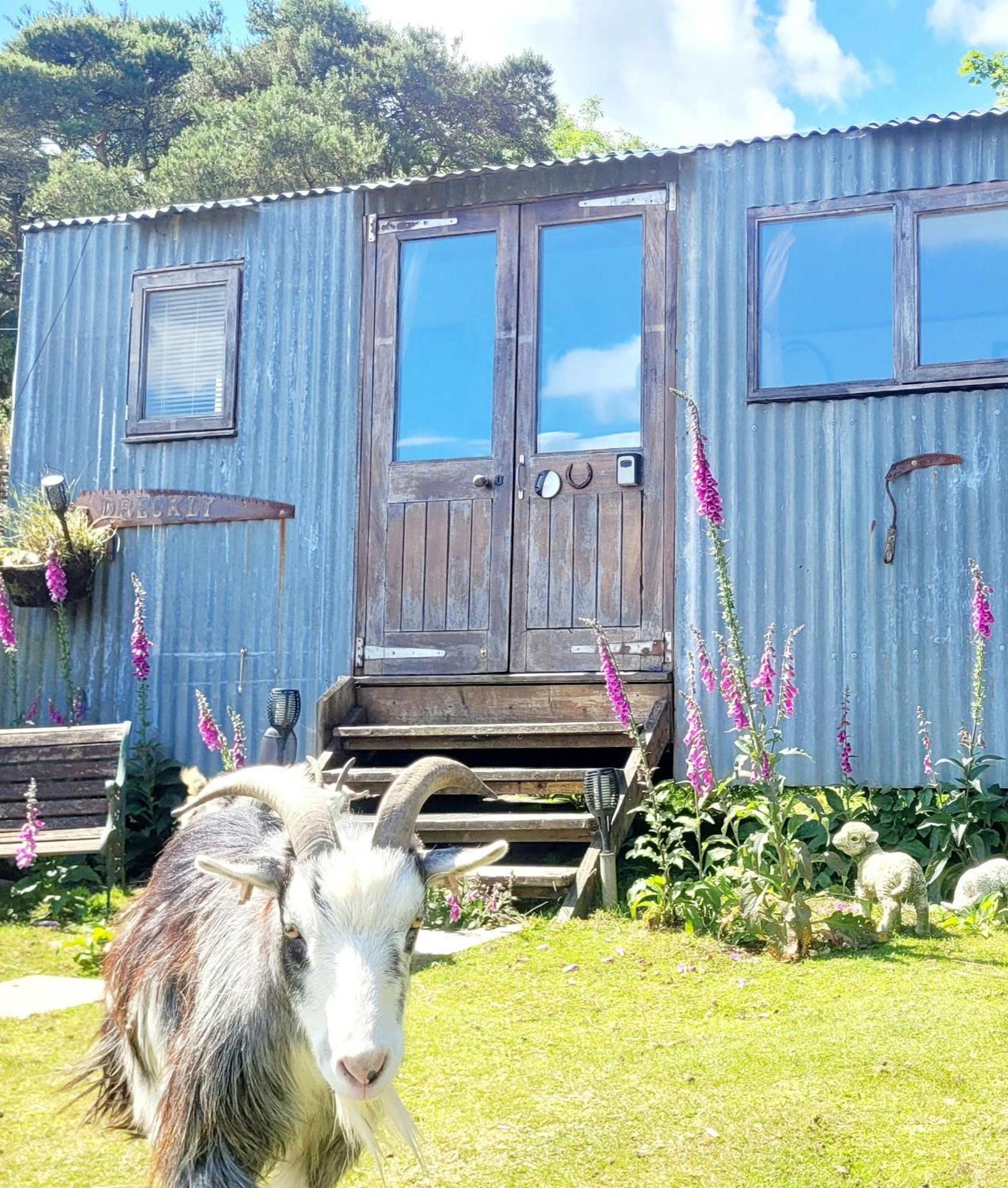 Treguth Glamping Unique Experience - Themed Huts Hotell Saint Day Eksteriør bilde
