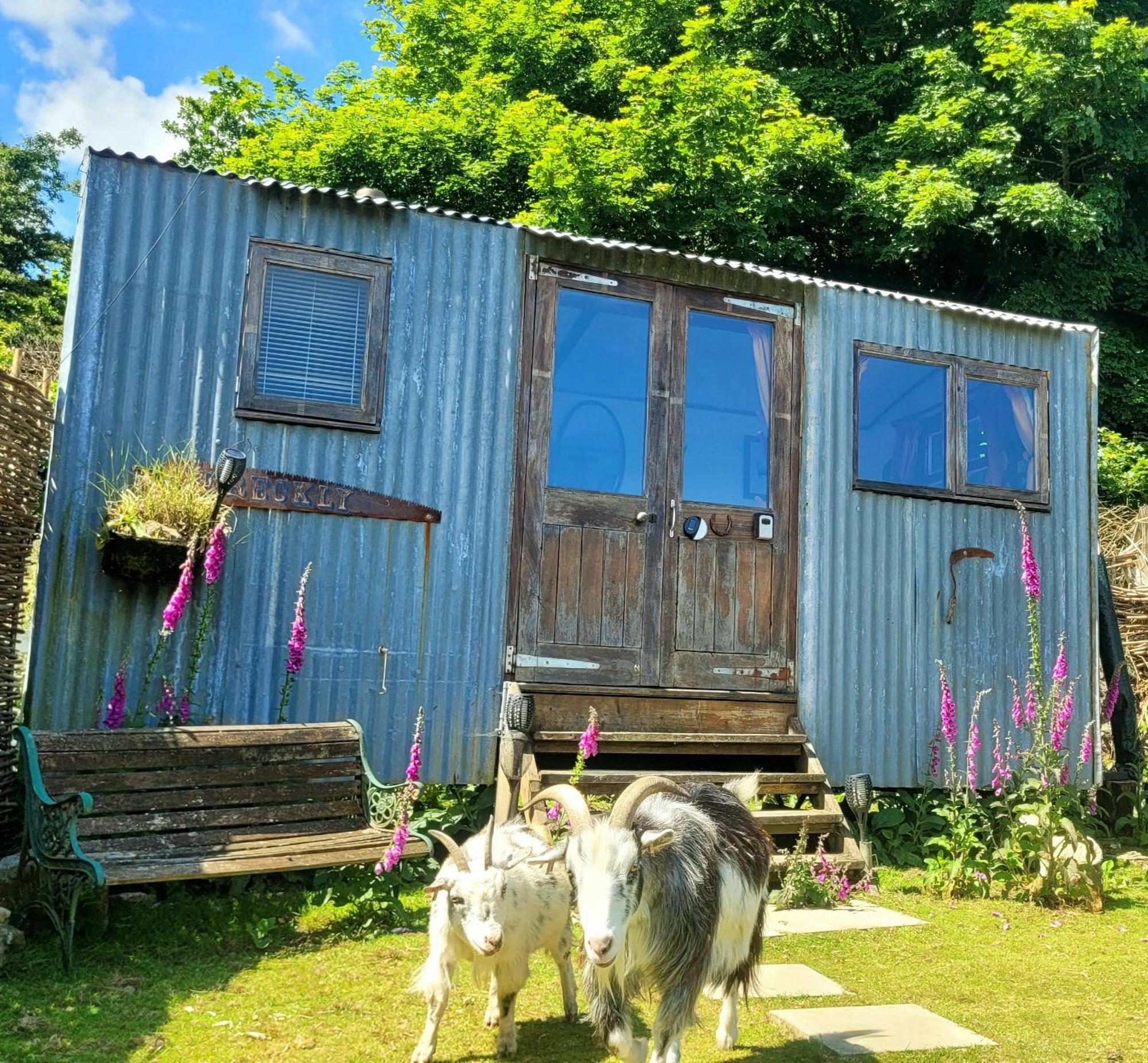 Treguth Glamping Unique Experience - Themed Huts Hotell Saint Day Eksteriør bilde