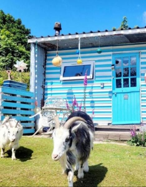 Treguth Glamping Unique Experience - Themed Huts Hotell Saint Day Eksteriør bilde